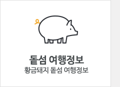 최신형대형유람선